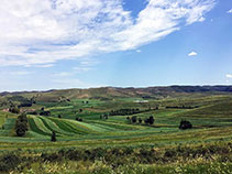 美麗藍(lán)天,樂(lè)氏科技.申報(bào)